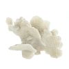 Large White Coral Tabletop Decor